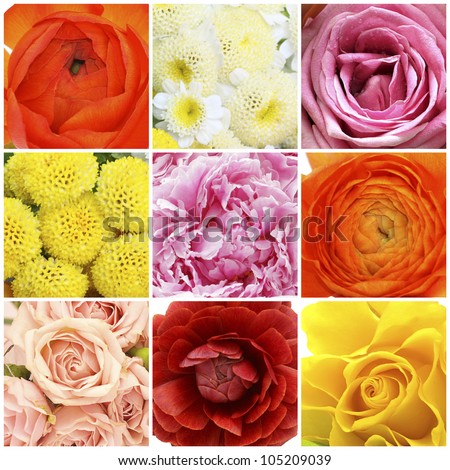 Flowers collage - red rose, pink peony, orange buttercup