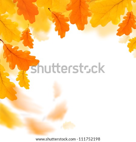 Autumn leaves border isolated over white