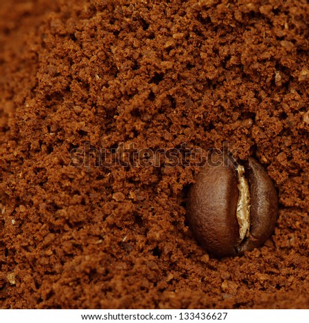 Macro coffee bean on ground background