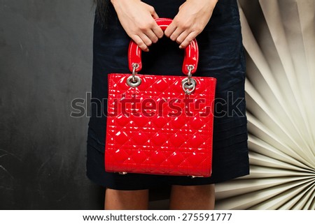 Hand Bag. Woman with Red Handbag on Background