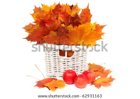 beautiful arrangement of autumn leaves and red apples - isolated on white