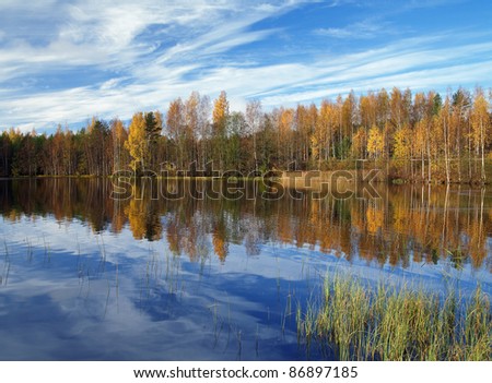 Trees reflecting in the water on the shore of lake at autumn morning, Finland