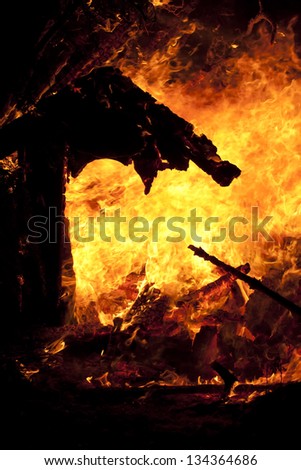 Closeup of the intense fire of dog hut.