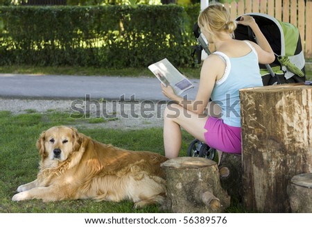Mother with the baby in stroller and golden retriever relaxing in the park.