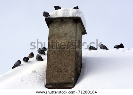 Roof and chimney covered with snow and pigeons on it.