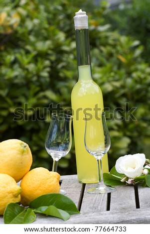 Summer, garden party with limoncello