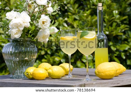Summer cocktail with lemons served in the garden