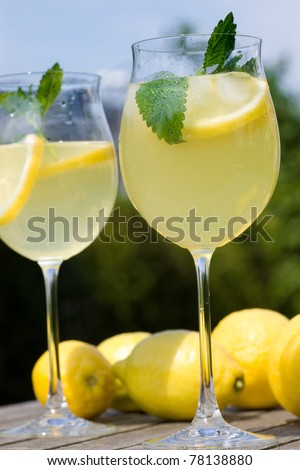 Cocktails with lemon slices served in the garden