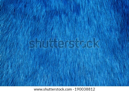 Blue fur background
