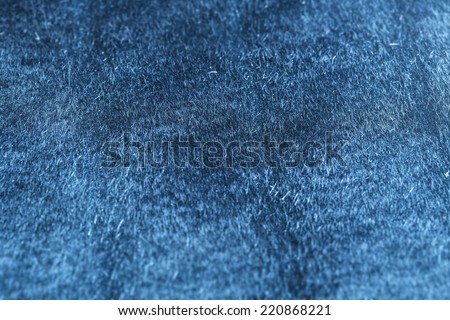 Close-up picture of blue fur, vivid color and perfect element for backgrounds