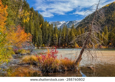 Fall foliage colors on Lizard Lake in Marble, CO near Crystal City