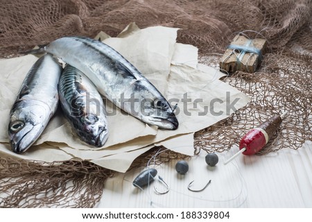Still life about sportive fishing for mackerel and some related items