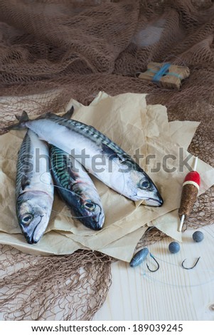 Still life about sportive fishing for mackerel and some related items