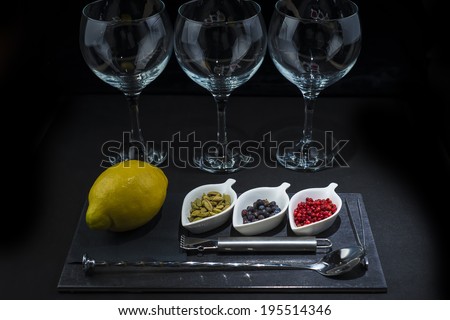 Utensils and ingredients to prepare and garnish a gin and  tonic