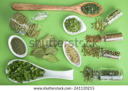 Assortment of green herbs and spices on a green background