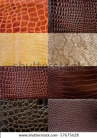 A collection of reptile skin textures.