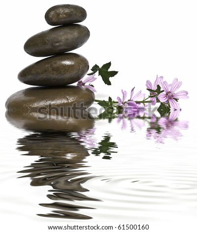 Zen balance with stones and flowers on a white background.