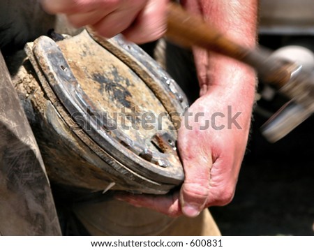 Horseshoer at work nailing a horse shoe to a hoof.