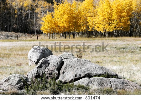 Fall scene  of rocks, Aspen, and open land in the American West (shallow focus point on the foreground rocks).