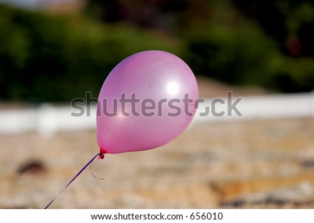 Pink Balloon at a country festival