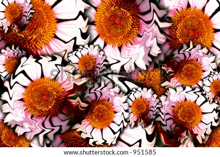 Background, floral concept image of Purple Cone Flowers (Echinacea).  Liquefy effect used.