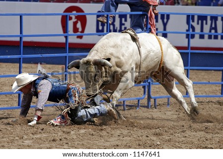 A downed bull rider at the Greeley Stampede in Colorado (