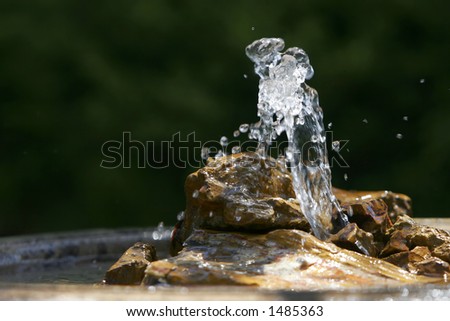 Soothing backyard fountain in sunlight and shade, with petrified wood and pool of water #2 (shallow focus).