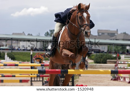 Horse & Rider showjumping in an equestrian event (shallow focus).