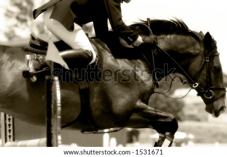 stock photo Tight closeup image of horse rider clearing a jump in stock photo Tight closeup image of horse rider clearing a jump in
