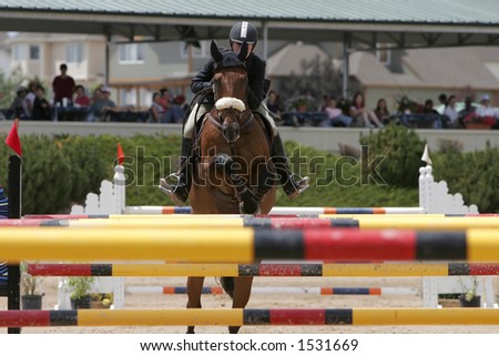 Horse & Rider showjumping in an equestrian event #2 (shallow focus).