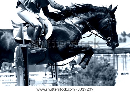 Crossing The Hurdle – Equestrian Theme (high contrast blue tone, shallow focus)