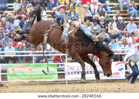 Elizabeth, CO - June 08:  A PRCA Bareback cowboy makes a successful ride during the Elizabeth Stampede Rodeo on June 08, 2008.  The event is considered one of the best small rodeos in the country.