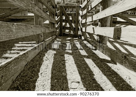 Authentic vintage wooden cattle chute used for working with livestock on a ranch in the American west (sepia tinted black and white).