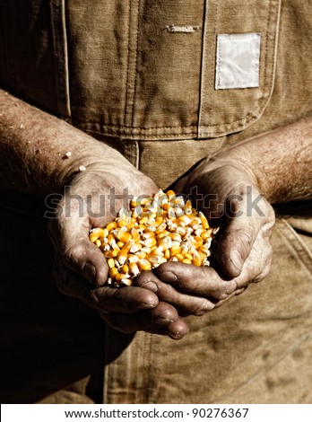 A farmer holds seed corn in his calloused hands (sepia tint added).