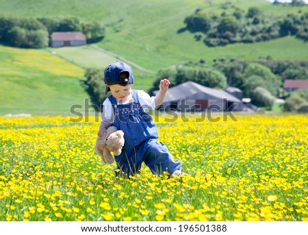 A baby girl in dungarees and baseball hat with a soft toy in her hands walking in the field full of buttercups