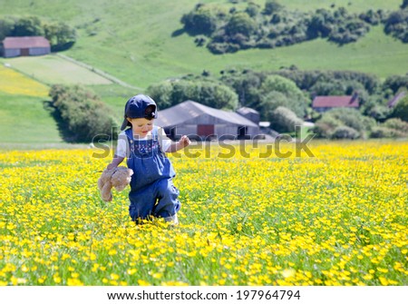 A baby girl in dungarees and baseball hat with a soft toy in her hands walking in the field full of buttercups