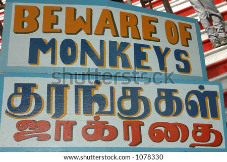 Pics Of Monkeys. photo : Beware of Monkeys!