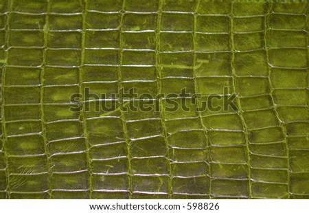 Green Reptile Print Texture Pattern