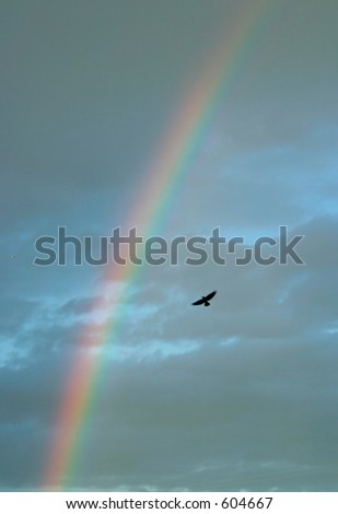 Rainbow Sky with bird