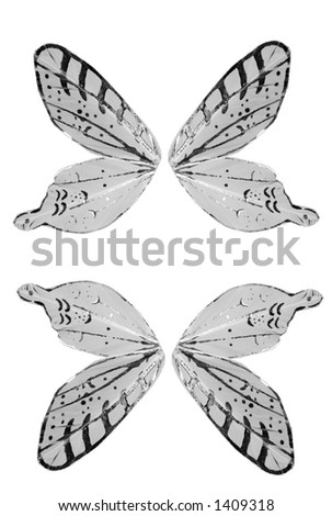 separated wings