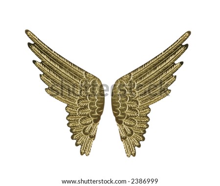 stock photo Gold Fairy Angel Wings Isolated on White