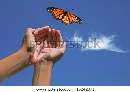 Monarch Butterfly Released into Nature With Hands Showing