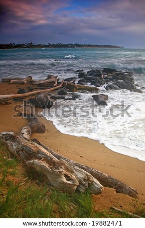 Vertical Landscape of a Beach in Hawaii With Driftwood