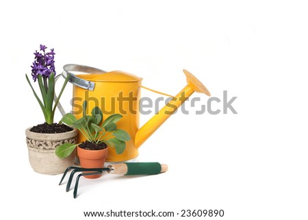 Spring Time Gardening With Watering Can, Trowel and Plantings on White Background