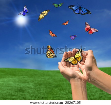 Butterflies Flying Outdoors Towards the Sun on a Beautiful Spring Day