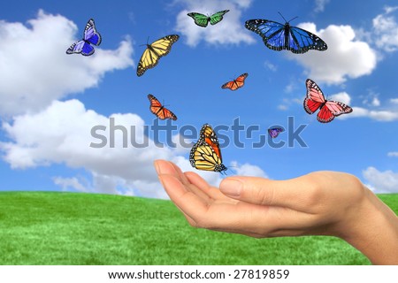 Butterflies Flying Free Against a Beautiful Spring Landscape