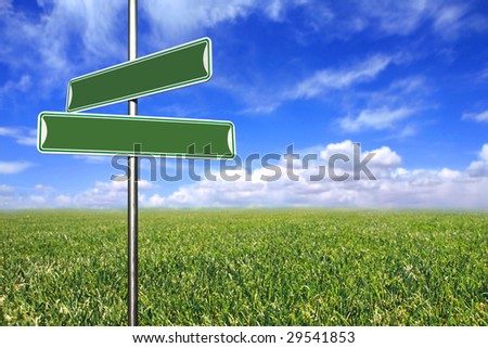Blank Directional Signs in an Open Field of Grass and Sky