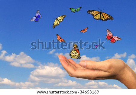 Hand Holding Released Butterflies Against a Sky Background