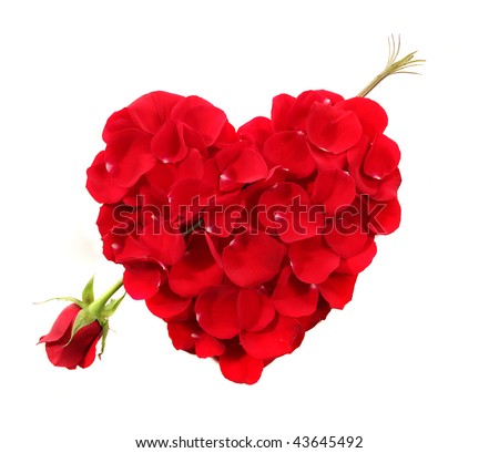 stock photo : Anniversary or Valentine Cupid Heart Shape Made Of Rose Petals 