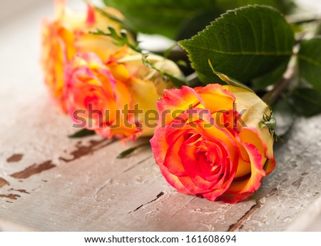 Red yellow roses on an old  wooden desk